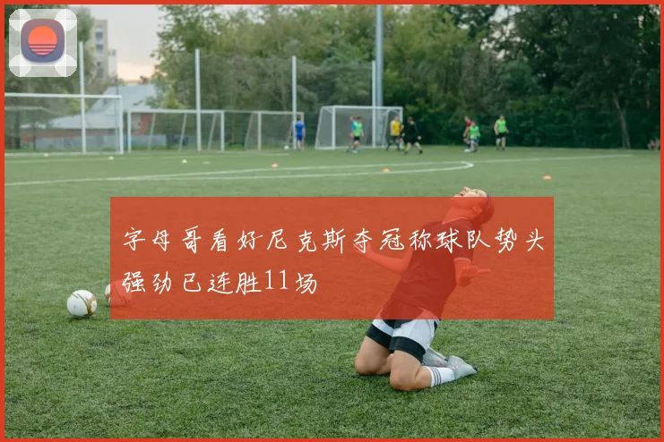 字母哥看好尼克斯夺冠称球队势头强劲已连胜11场
